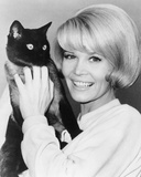 Dorothy Provine Photo