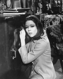 Diana Rigg Photo