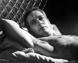 Cool Hand Luke Photo