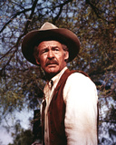 The Wild Bunch Photo