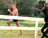 The Swimmer Photo