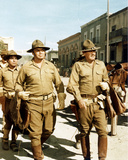 The Wild Bunch Photo