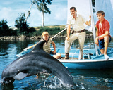 Flipper Photographie