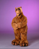 ALF Foto