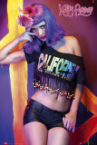 Katy Perry - Peace Posters