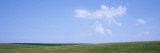 Panoramic View of Cornfields, Iowa, USA Wall Decal by Panoramic Images 