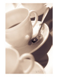 Mon Arabica Prints by Jean-François Dupuis