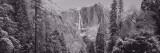 Yosemite Falls, California, USA Wall Decal by Panoramic Images 