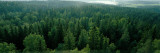 Finland, Aulanko, Scandinavian Forest Wall Decal by Panoramic Images 