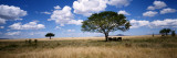 Elephants, Kenya, Africa Wall Decal by Panoramic Images 