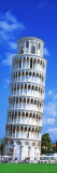 Tower of Pisa, Tuscany, Italy Wall Decal by Panoramic Images 