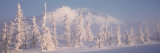 Snow Covered Landscape, Hoarfrost on Trees, Chugach Mountains, Alaska, USA Vinilos decorativos por Panoramic Images Snow Covered Landscape, Hoarfrost on Trees, Chugach Mountains, Alaska, USA Vinilos decorativos por Panoramic Images