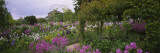 Flowers in a Garden, Foundation Claude Monet, Giverny, France Autocollant mural par Panoramic Images 