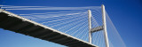 Low Angle View of a Bridge, Talmadge Memorial Bridge, Savannah, Georgia, USA Wall Decal by Panoramic Images 