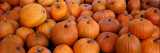 Pumpkins Wall Decal by Panoramic Images 