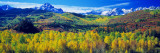 San Juan Mountains, Colorado, USA Autocollant mural par Panoramic Images 