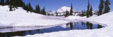 Snow on a Landscape, Mt. Rainier, Mt. Rainier National Park, Washington State, USA wandtattoos von Panoramic Images 