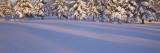 Snow Covered Golf Course, Alaska, USA Vinilos decorativos por Panoramic Images Snow Covered Golf Course, Alaska, USA Vinilos decorativos por Panoramic Images