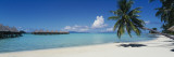 Palm Tree on the Beach, Moana Beach, Bora Bora, Tahiti, French Polynesia Wandabziehbild von Panoramic Images 