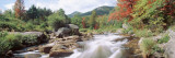 River Flowing Through Rocks, Ausable River, Wilmington, New York State, USA Wall Decal by Panoramic Images 
