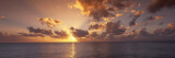 Sunset, Seven Mile Beach, Cayman Islands, Caribbean Sea Mode (wallstickers) af Panoramic Images Sunset, Seven Mile Beach, Cayman Islands, Caribbean Sea Mode (wallstickers) af Panoramic Images