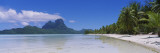 Palm Trees on the Beach, Bora Bora, French Polynesia Wall Decal by Panoramic Images 