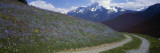 Road Through Hillside, Zillertaler, Austria Vinilos decorativos por Panoramic Images Road Through Hillside, Zillertaler, Austria Vinilos decorativos por Panoramic Images