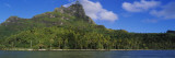 Palm Trees on the Beach, Bora Bora, French Polynesia Vinilos decorativos por Panoramic Images