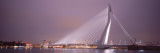 Erasmus Bridge, Rotterdam, Holland, Netherlands Wall Decal by Panoramic Images 