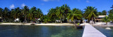 View of Beachfront from Pier, Caye Caulker, Belize Wall Decal by Panoramic Images 