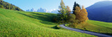 Road, Scenic, Summer, Mountains, Tyrol, Italy Vinilos decorativos por Panoramic Images Road, Scenic, Summer, Mountains, Tyrol, Italy Vinilos decorativos por Panoramic Images