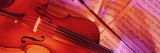 Colored Lights, Close-up of a Violin Wall Decal by Panoramic Images 