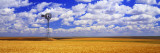 Windmill Wheat Field, Othello, Washington State, USA Vinilos decorativos por Panoramic Images