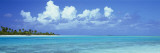 Mopeti Island, Tahiti Wall Decal by Panoramic Images 
