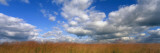 Hayden Prairie, Iowa, USA Wall Decal by Panoramic Images 