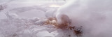 Bison Geyser, Yellowstone National Park, Wyoming, USA Wall Decal by Panoramic Images 