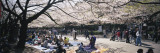 Group of People in a Park, Ueno Park, Tokyo Prefecture, Japan Wall Decal by Panoramic Images 