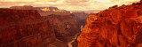 Toroweap Point, Grand Canyon, Arizona, USA Wall Decal by Panoramic Images 