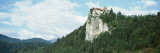 Church, Lake Bled, Slovenia Wall Decal by Panoramic Images 