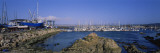 Boats Docked at a Harbor, Marina, Monterey, California, USA Wall Decal by Panoramic Images 