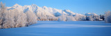 Chugach Mountains in Winter, Alaska, USA Vinilos decorativos por Panoramic Images Chugach Mountains in Winter, Alaska, USA Vinilos decorativos por Panoramic Images