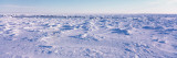 Panoramic View of a Polar Bear Habitat, Hudson Bay, Canada Wall Decal by Panoramic Images 