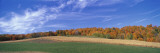 Fields, Aspens, Quebec, Canada Wall Decal by Panoramic Images 