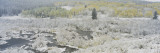High Angle View of Trees Covered with Snow, Aspen, Colorado, USA Wall Decal by Panoramic Images 