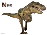 T. Rex Mode (wallstickers) T. Rex Mode (wallstickers)