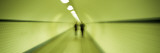 Pedestrian Tunnel, Blurred Motion Wall Decal by Panoramic Images 