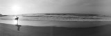Surfer, San Diego, California, USA Wall Decal by Panoramic Images 