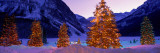 Lighted Christmas Trees, Chateau Lake Louise, Lake Louise, Alberta, Canada Decalque em parede por Panoramic Images Lighted Christmas Trees, Chateau Lake Louise, Lake Louise, Alberta, Canada Decalque em parede por Panoramic Images
