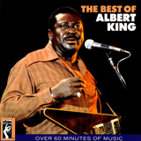 Albert King - The Best of Albert King Wall Decal