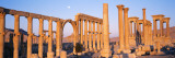 Ruins, Palmyra, Syria Wall Decal by Panoramic Images 